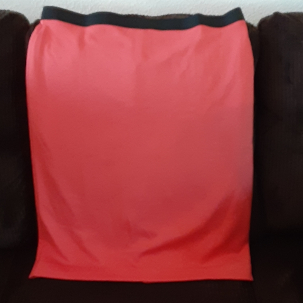 Alfani skirt